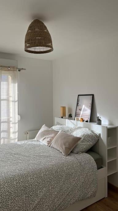 Le Nid Champenois Apartment Reims Exterior photo